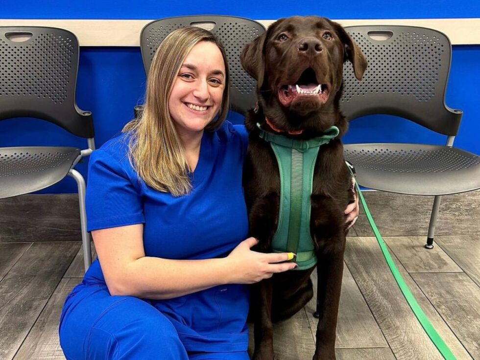 Veterinary Appointment In Staten Island, NY 10312 Pleasant Plains