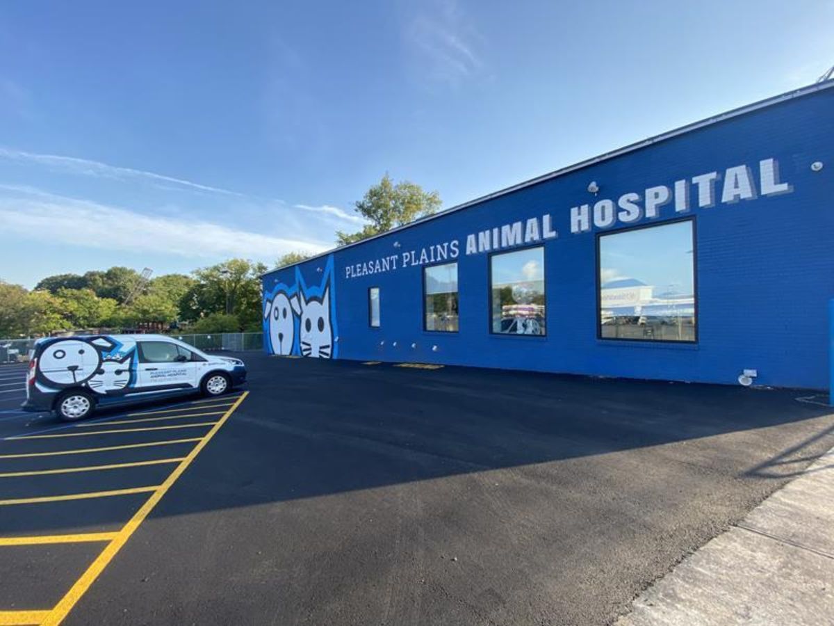 Pleasant Plains Animal Hospital North