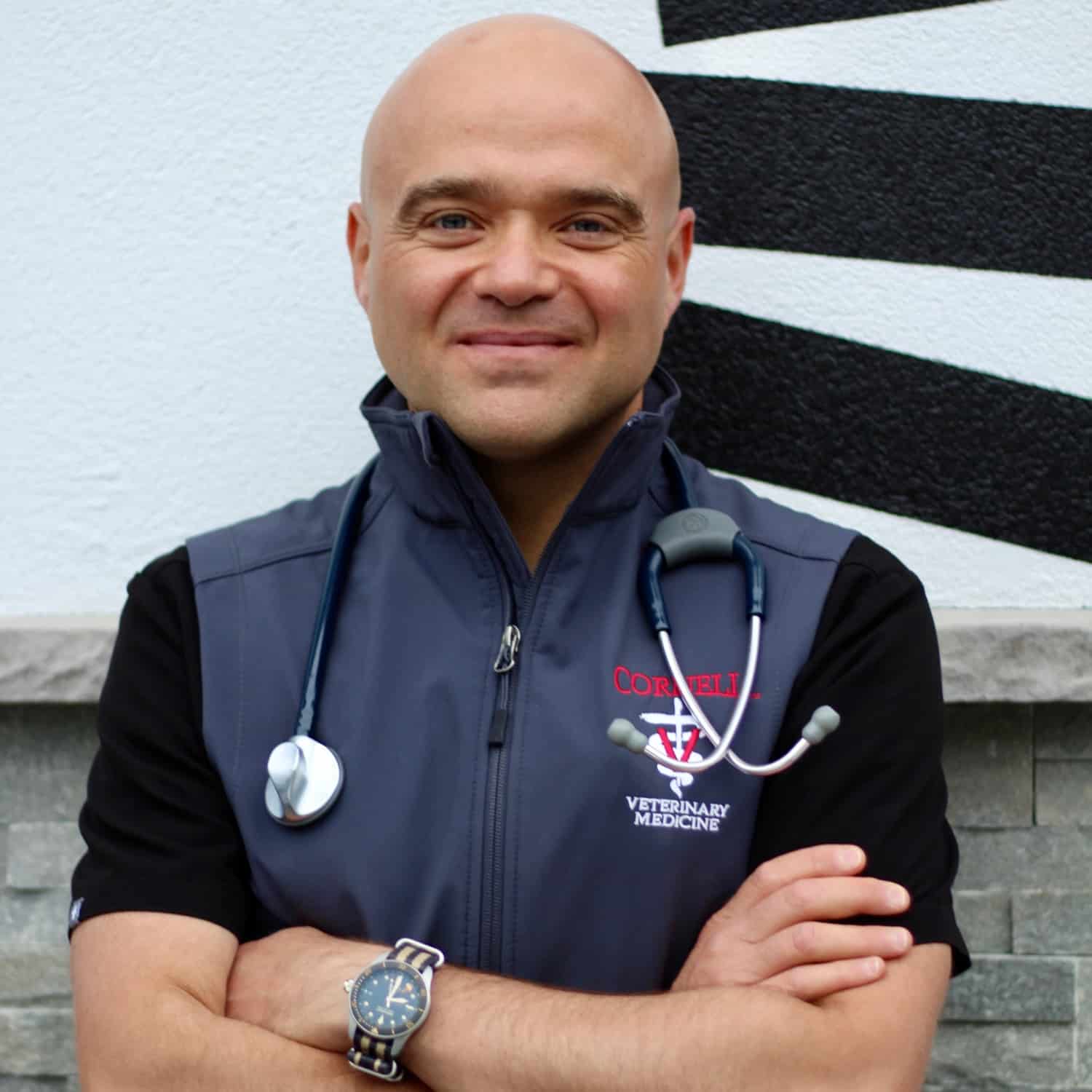 Dr. Meleleo