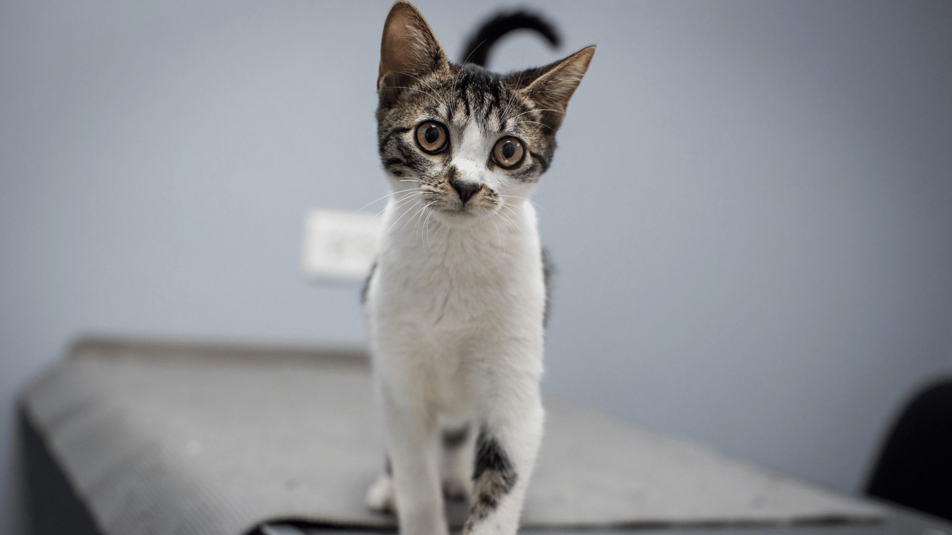 Brittany, Christina south